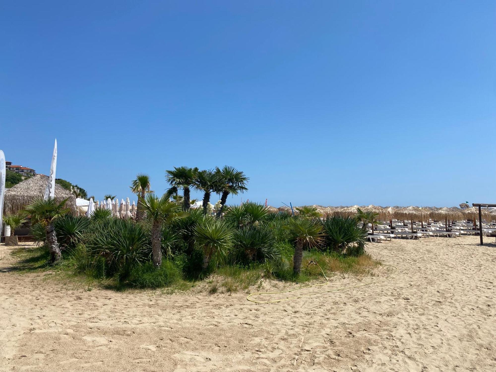 Garden Of Eden B3-2 Private One Bedroom Apartment Sveti Vlas Luaran gambar